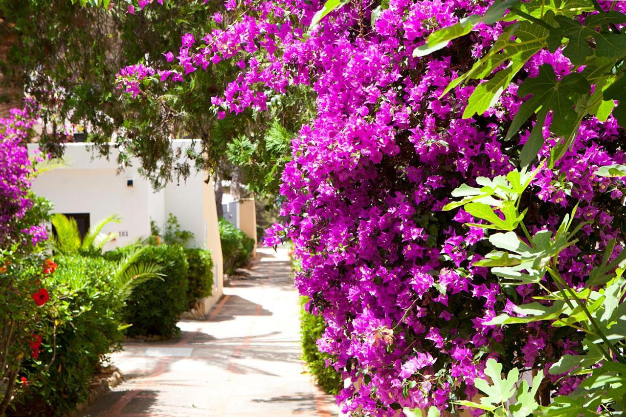 Apartamentos Club Cala Azul Sant Carles de Peralta Exteriér fotografie